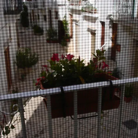 La Casetta Di Antonella Apartment Locorotondo